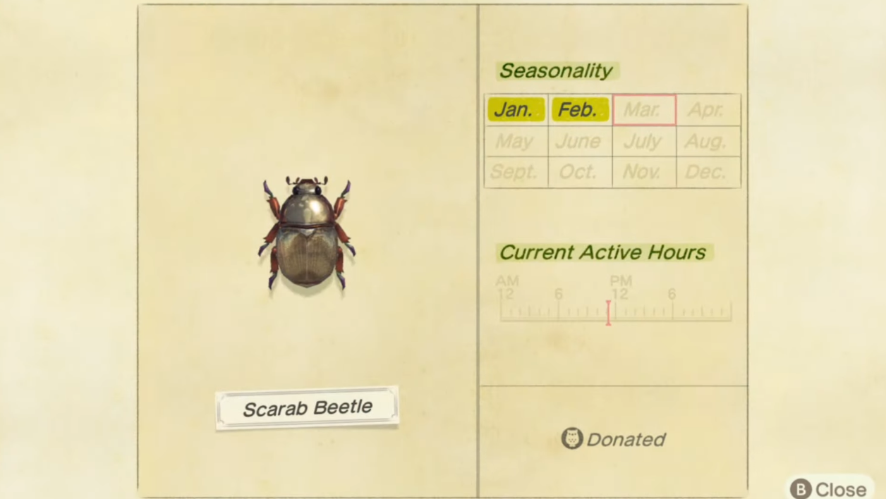 Comment attraper un scarabée dans Animal Crossing New Horizons