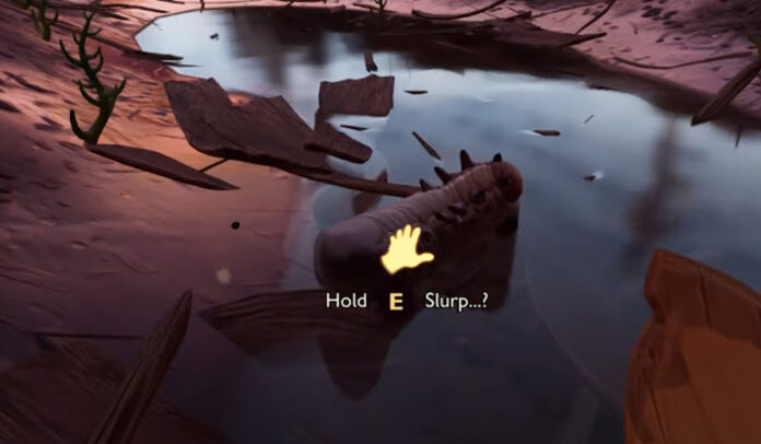 Where to find Grubs in Grounded