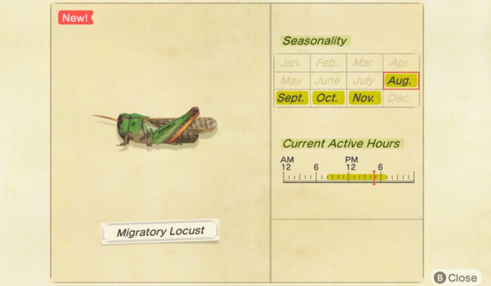 How to catch a Migratory Locust in Animal Crossing New Horizons