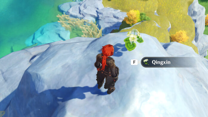 Where to find Qingxin in Genshin Impact