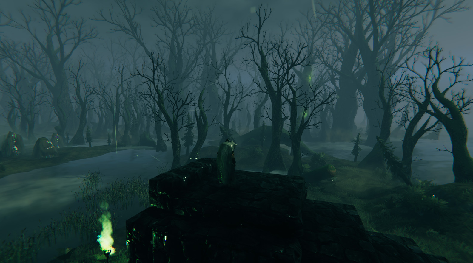 Où trouver le biome des marais à Valheim