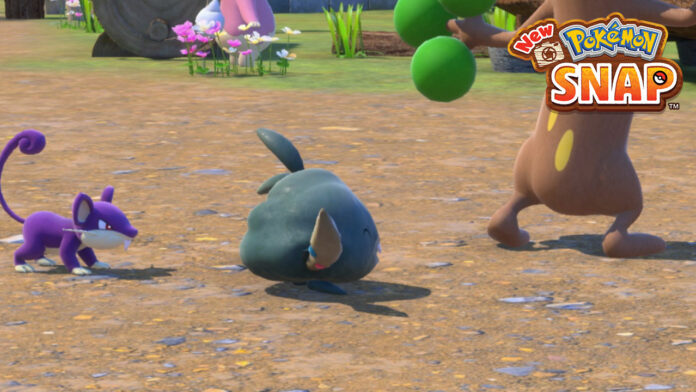 Comment terminer au milieu du camp dans New Pokemon Snap

