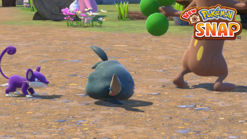 Comment terminer au milieu du camp dans New Pokemon Snap