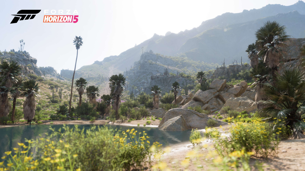 Forza Horizon 5 Désert vivant