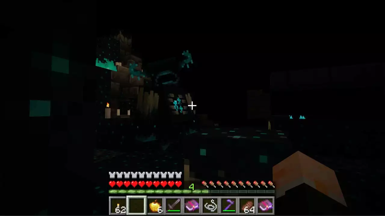 Minecraft la mise à jour sauvage