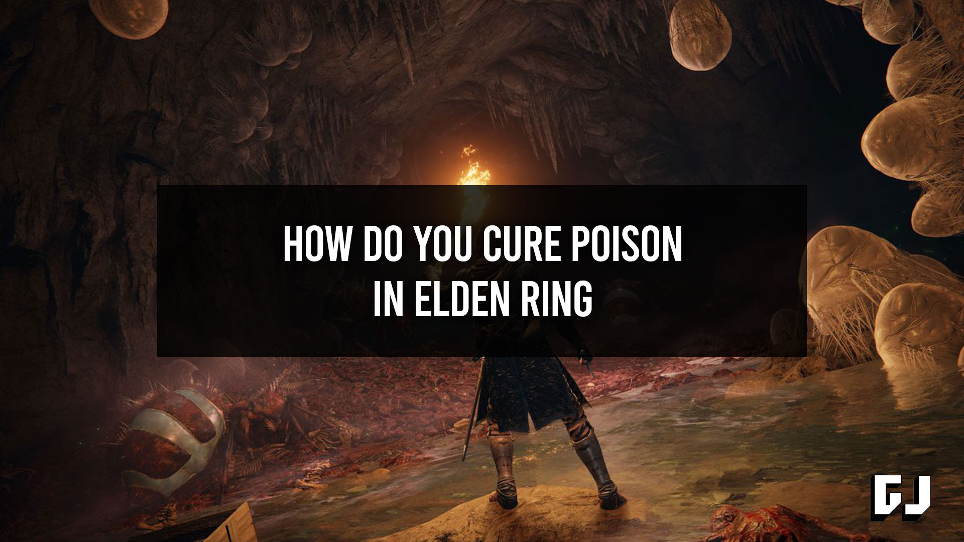 Comment soigner le poison dans Elden Ring ?