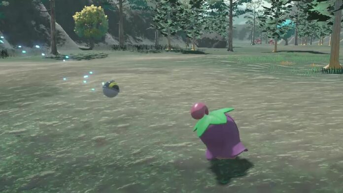 Tout sur la danse des pétales de Cherrim dans Pokemon Legends Arceus
