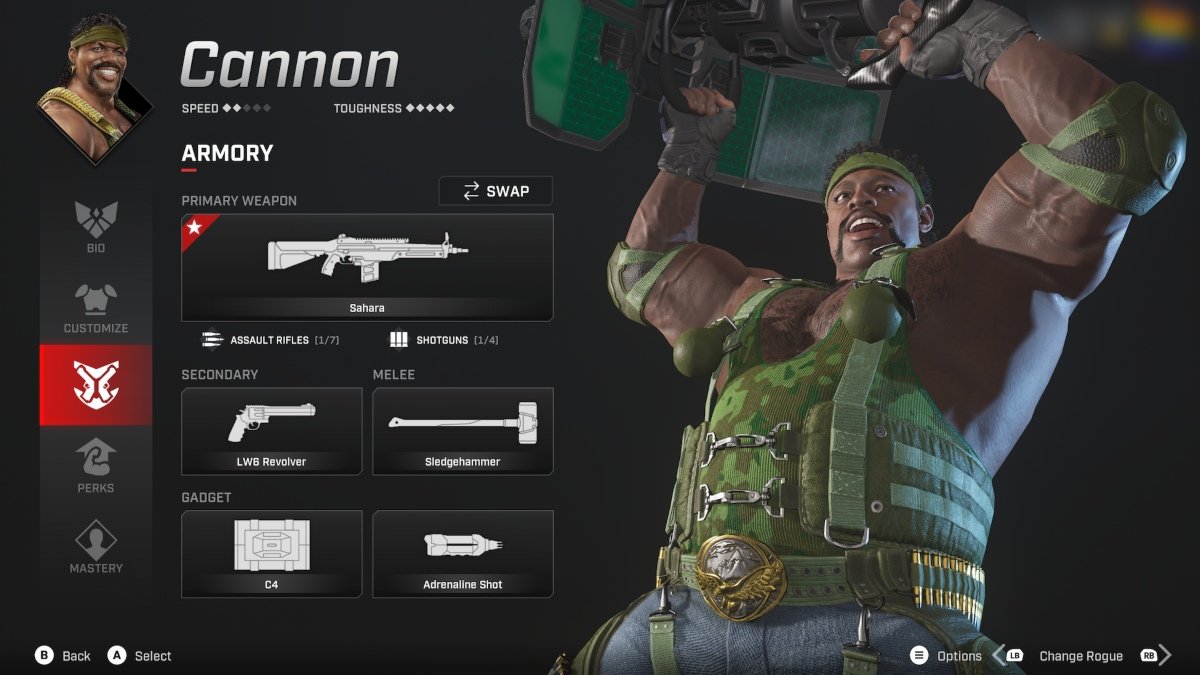 Canon Rogue Company Armes