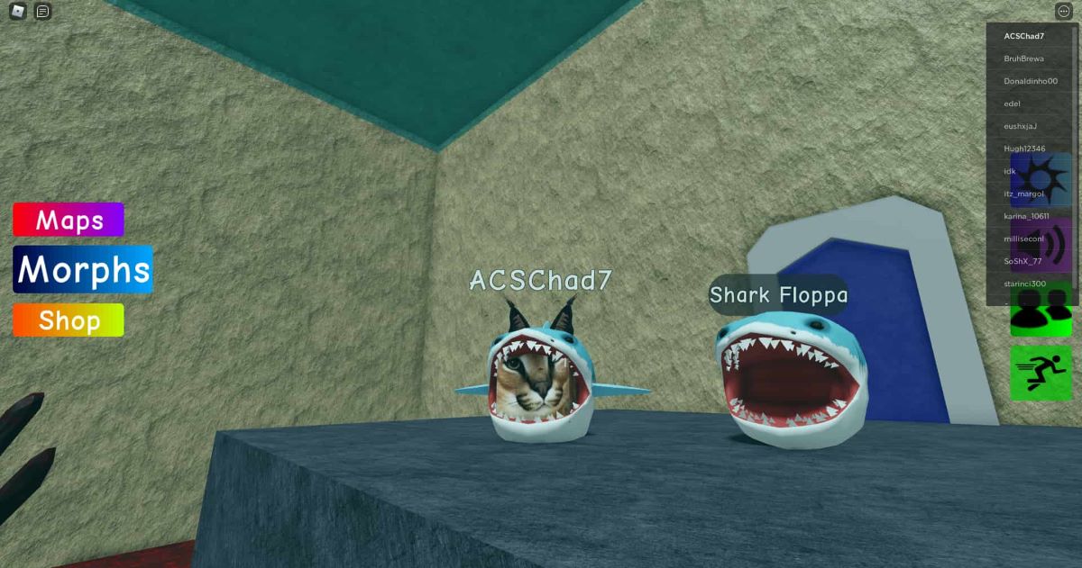 flop de requin dans trouver les morphes de flop