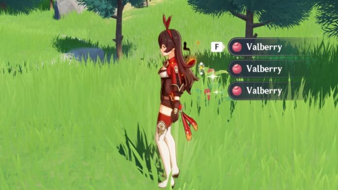 Où trouver des Valberries dans Genshin Impact
