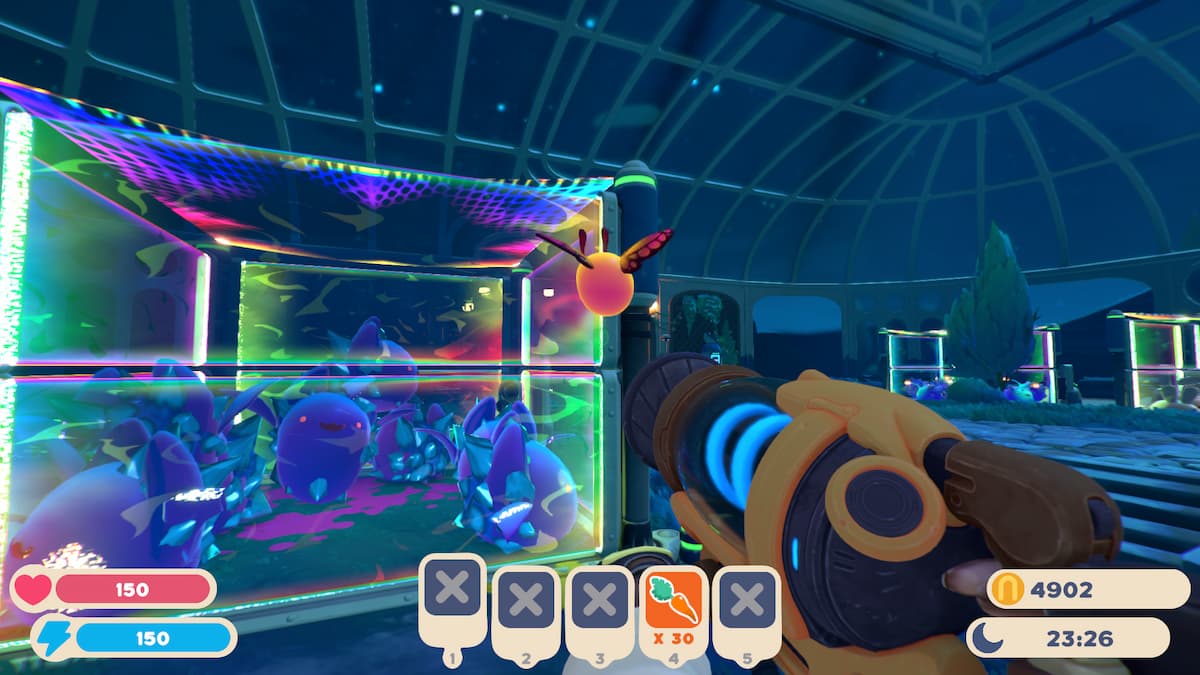 curieux flutter slime dans slime rancher 2