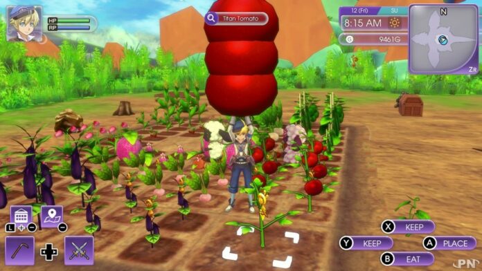 Farm in Rune Factory 5