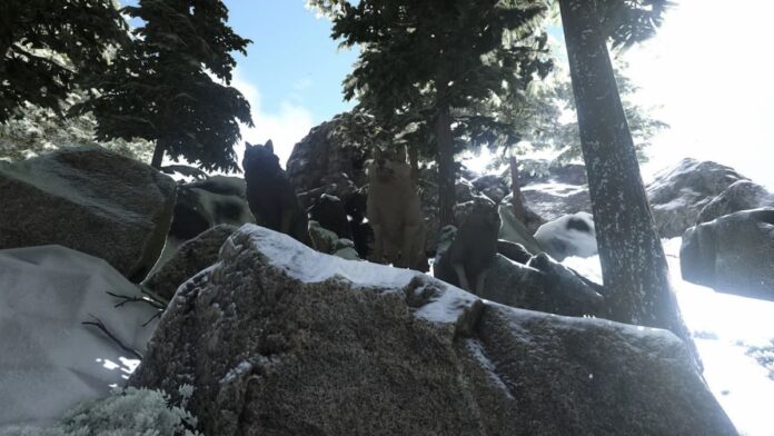 ark wolves