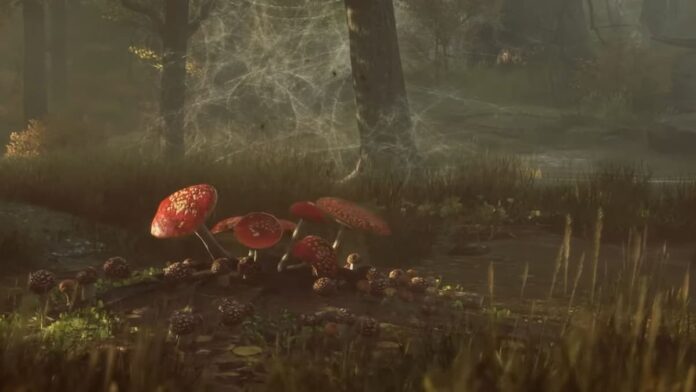 hogwarts legacy leaping toadstools