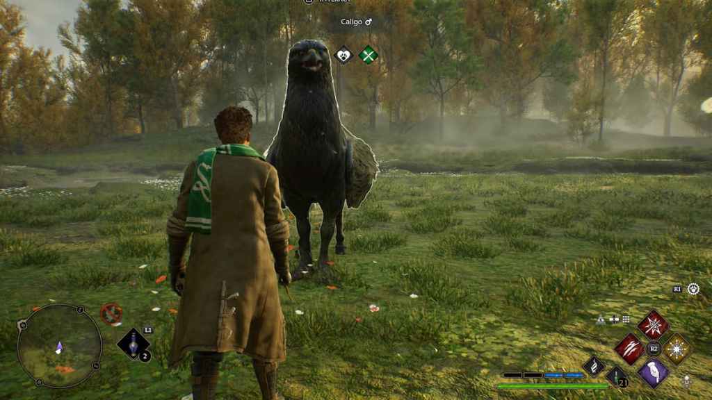 Pouvez-vous obtenir une quatrième monture volante dans Hogwarts Legacy - Caligo in Vivarium.