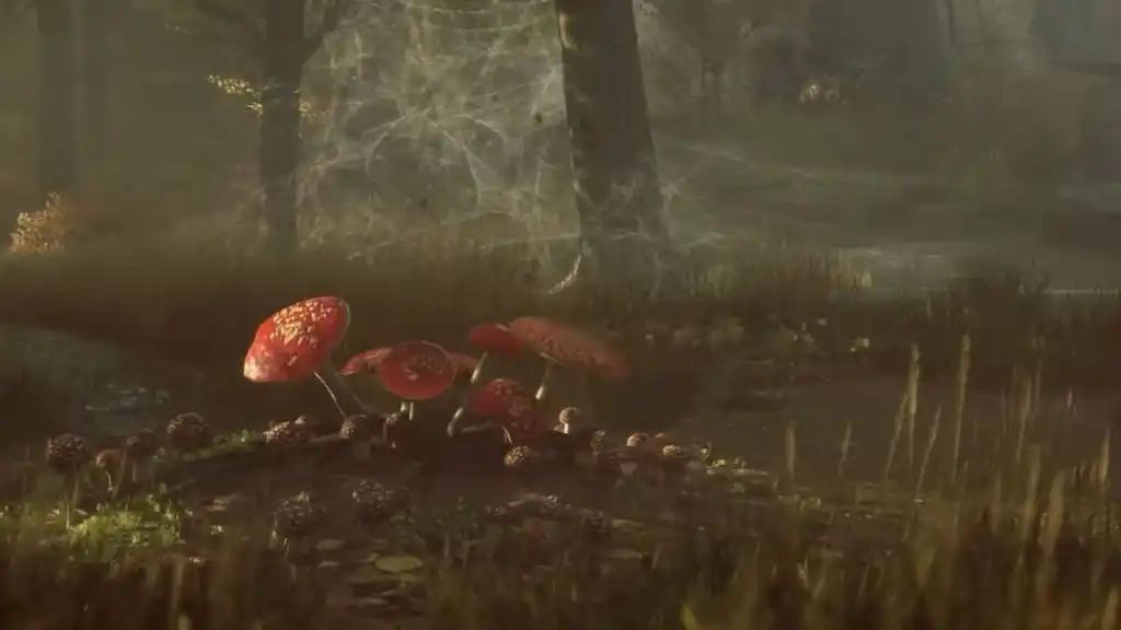 champignons sautants hérités de Poudlard